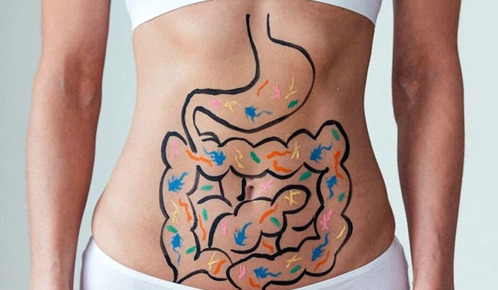 Bauch mit aufgezeichnetem Darm Probiotika für den Darm