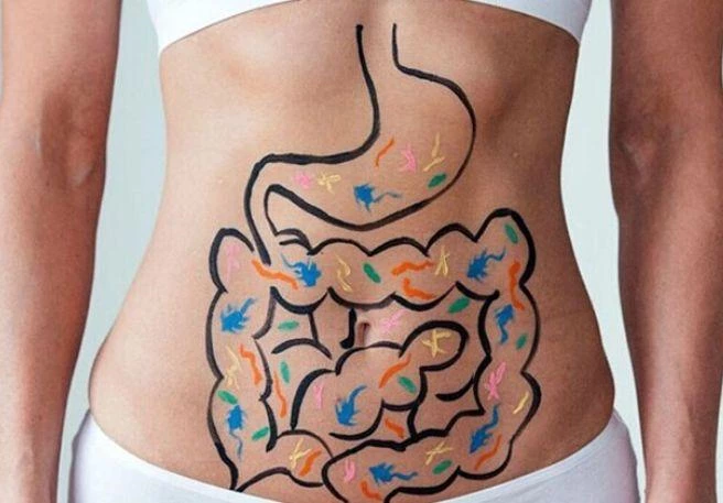 Bauch mit aufgezeichnetem Darm Probiotika für den Darm